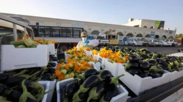 بيئة القصيم تكثف حملاتها الرقابية على الأسواق والمسالخ لتعزيز السلامة الغذائية